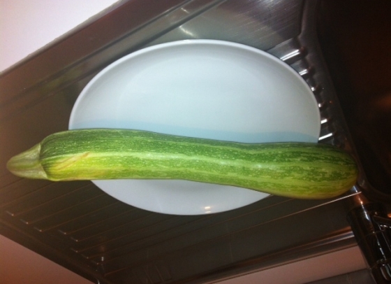 La zucchina oversize di Tranq